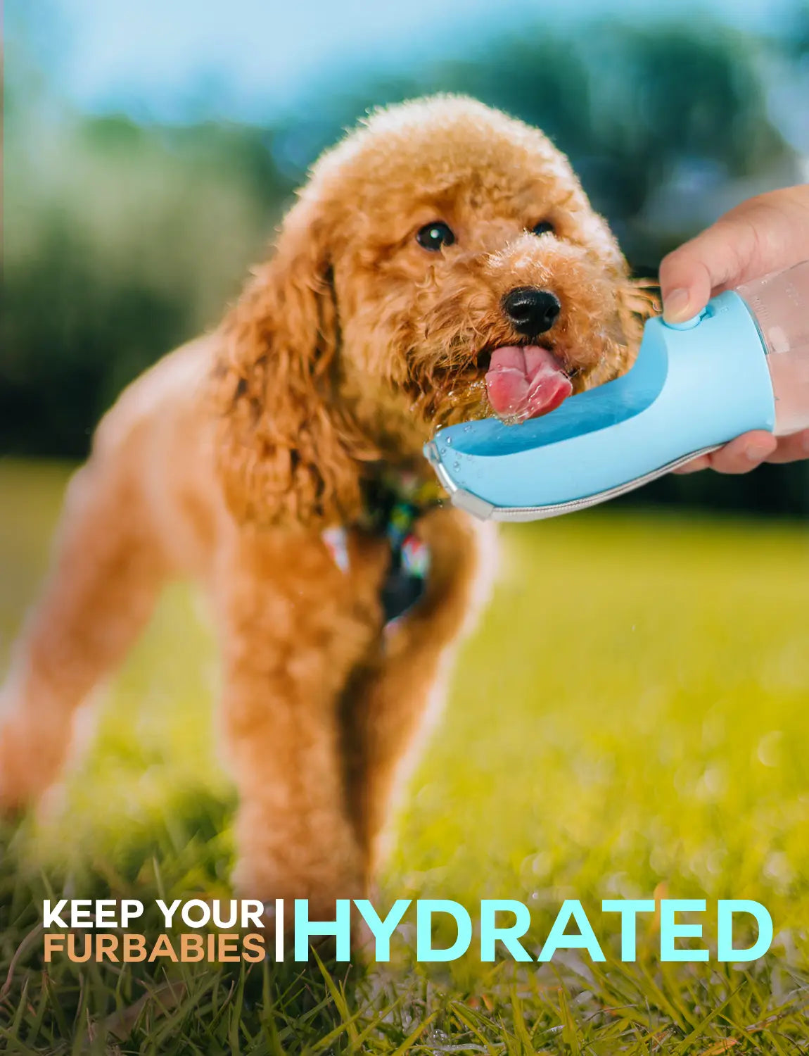 3In1 Pet Water Bottle - Portable 20Oz Leak Proof Container with Poop Bag Dispenser, Ideal for Travel, Hiking, and Outdoor Use