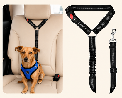 2-in-1 Dog Car Seat Belt & Leash