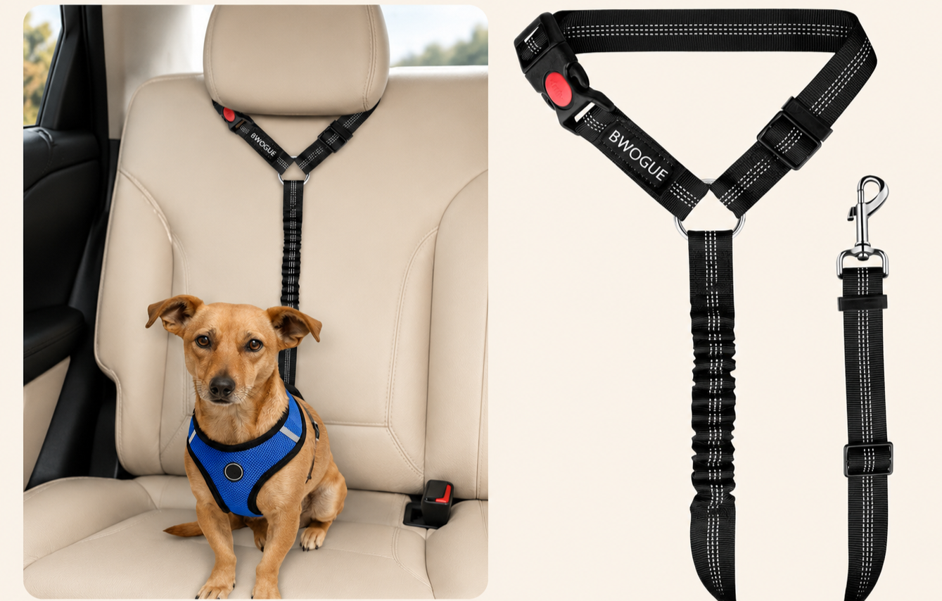 2-in-1 Dog Car Seat Belt & Leash
