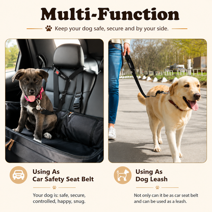 2-in-1 Dog Car Seat Belt & Leash